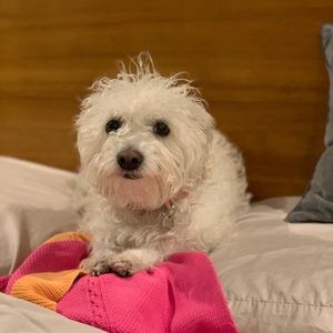 Meet your Posher, Anna